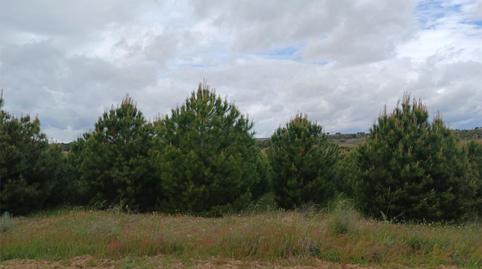 Terreno en venta en Calle Eras, 14, Valdefinjas, Zamora - imagen 5 Foto 5 de Terreno en venta en Calle Eras, 14, Valdefinjas, Zamora