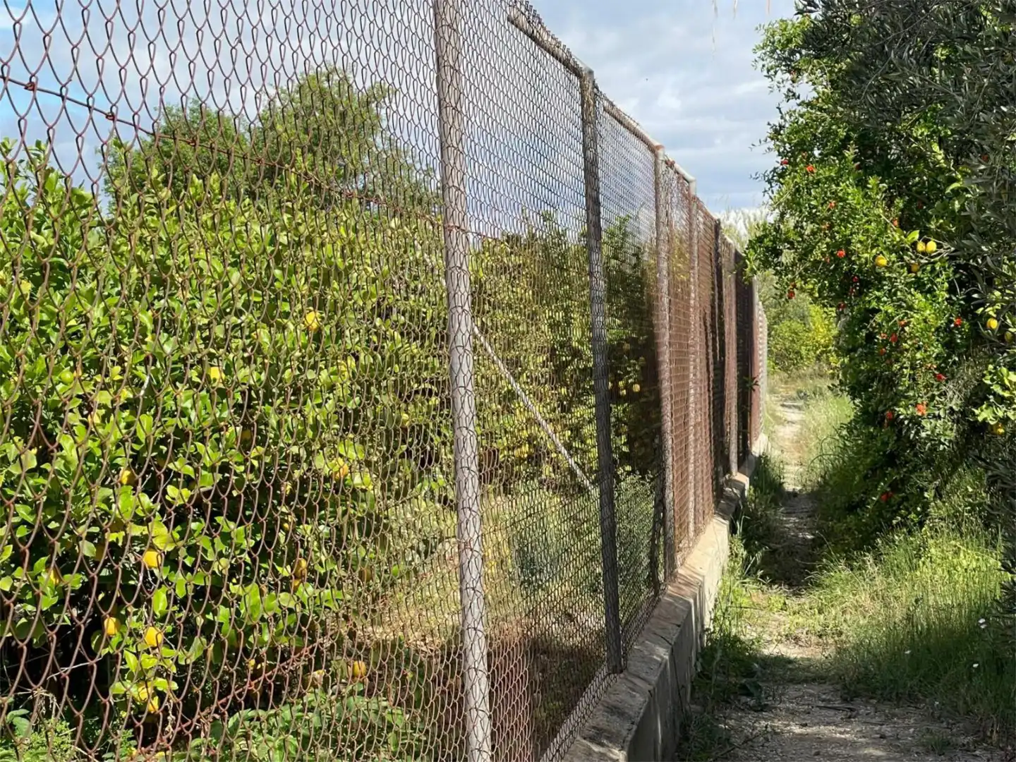 Non-constructible Land for sale in Barrio de los Remedios, 9, La Raya Non-constructible Land for sale in Murcia