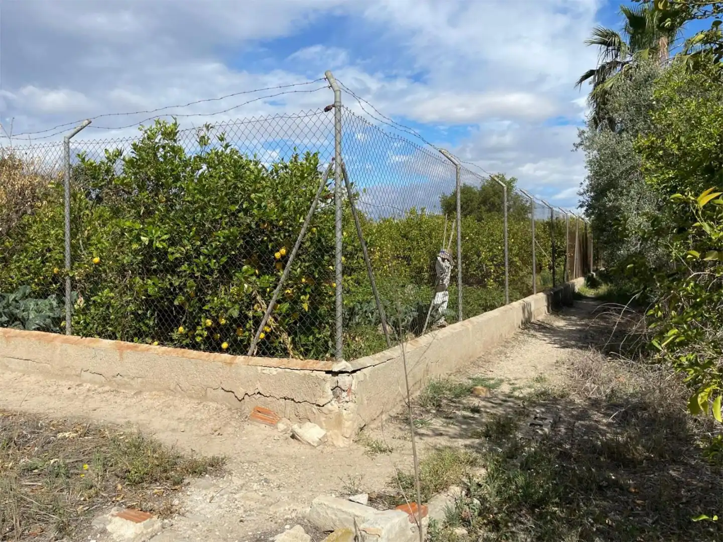 Non-constructible Land for sale in Barrio de los Remedios, 9, La Raya Non-constructible Land for sale in Murcia