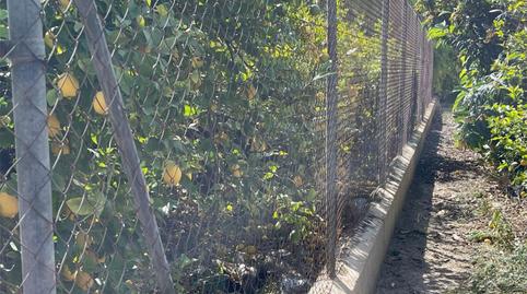 No Urbanitzable en venda a Barrio de Los Remedios, 9, La Raya, Murcia - imatge 5 Foto 5 de No Urbanitzable en venda a Barrio de Los Remedios, 9, La Raya, Murcia