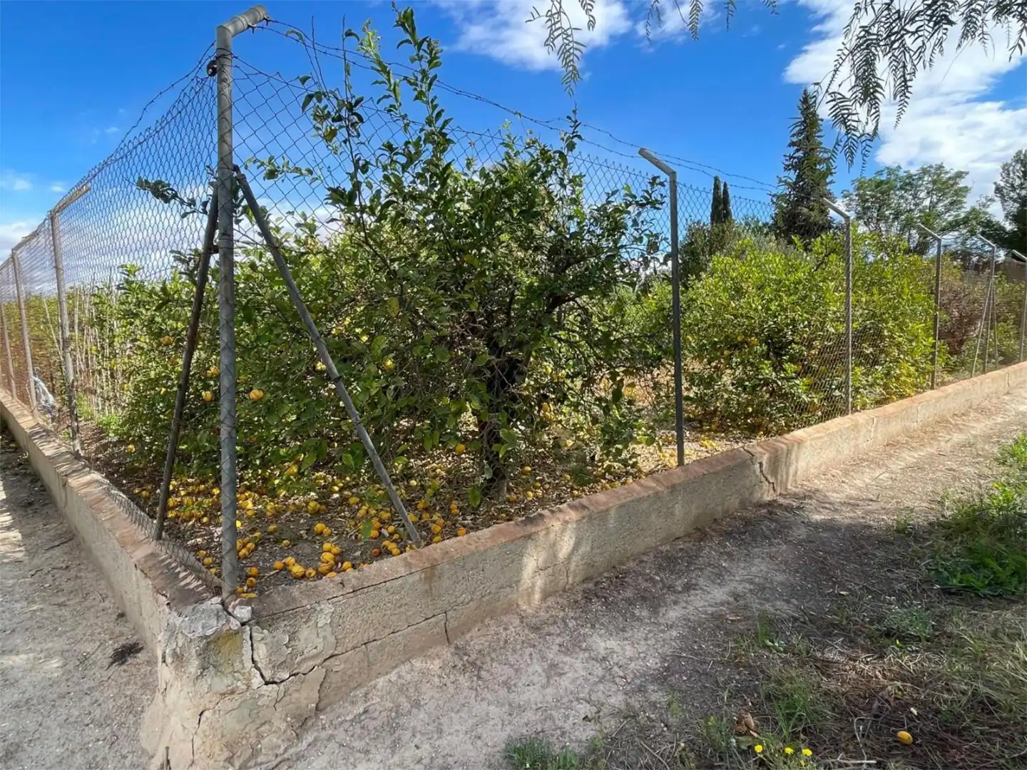 Non-constructible Land for sale in Barrio de los Remedios, 9, La Raya Non-constructible Land for sale in Murcia