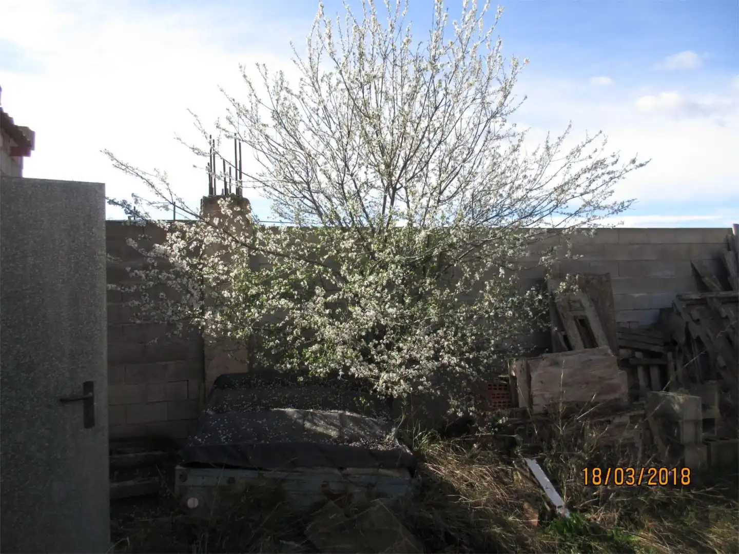 Terreno en venta en Alforque