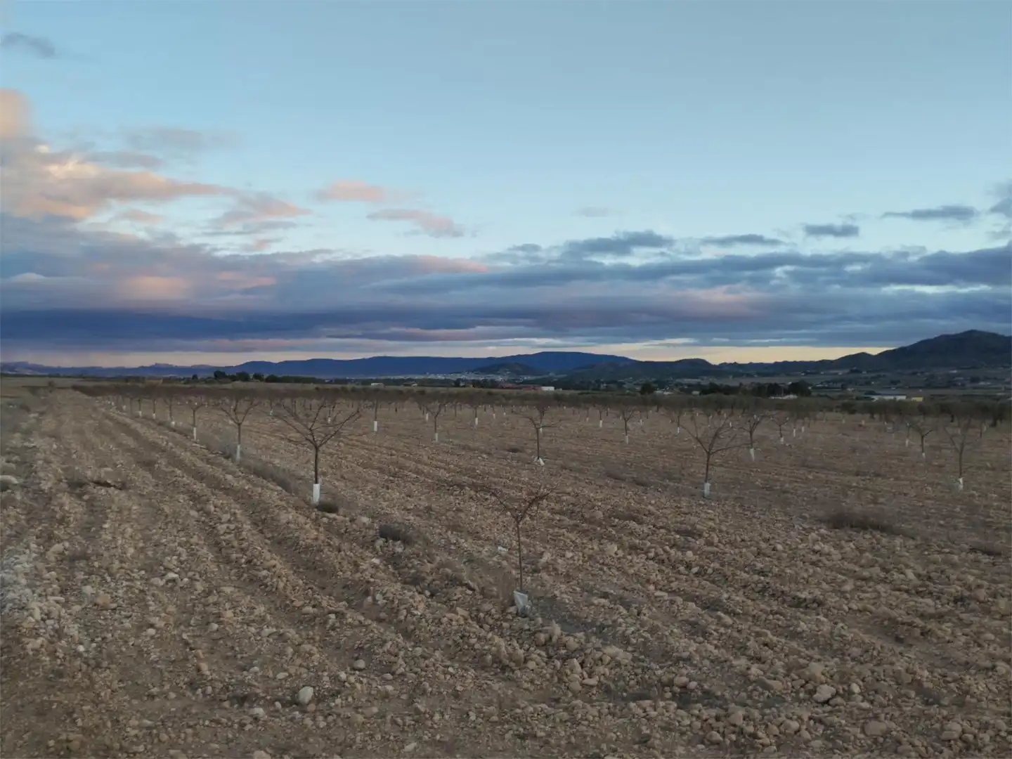 Terreno en venta en Carretera Yecla, 5, Montealegre del Castillo Terreno en venta en Montealegre del Castillo