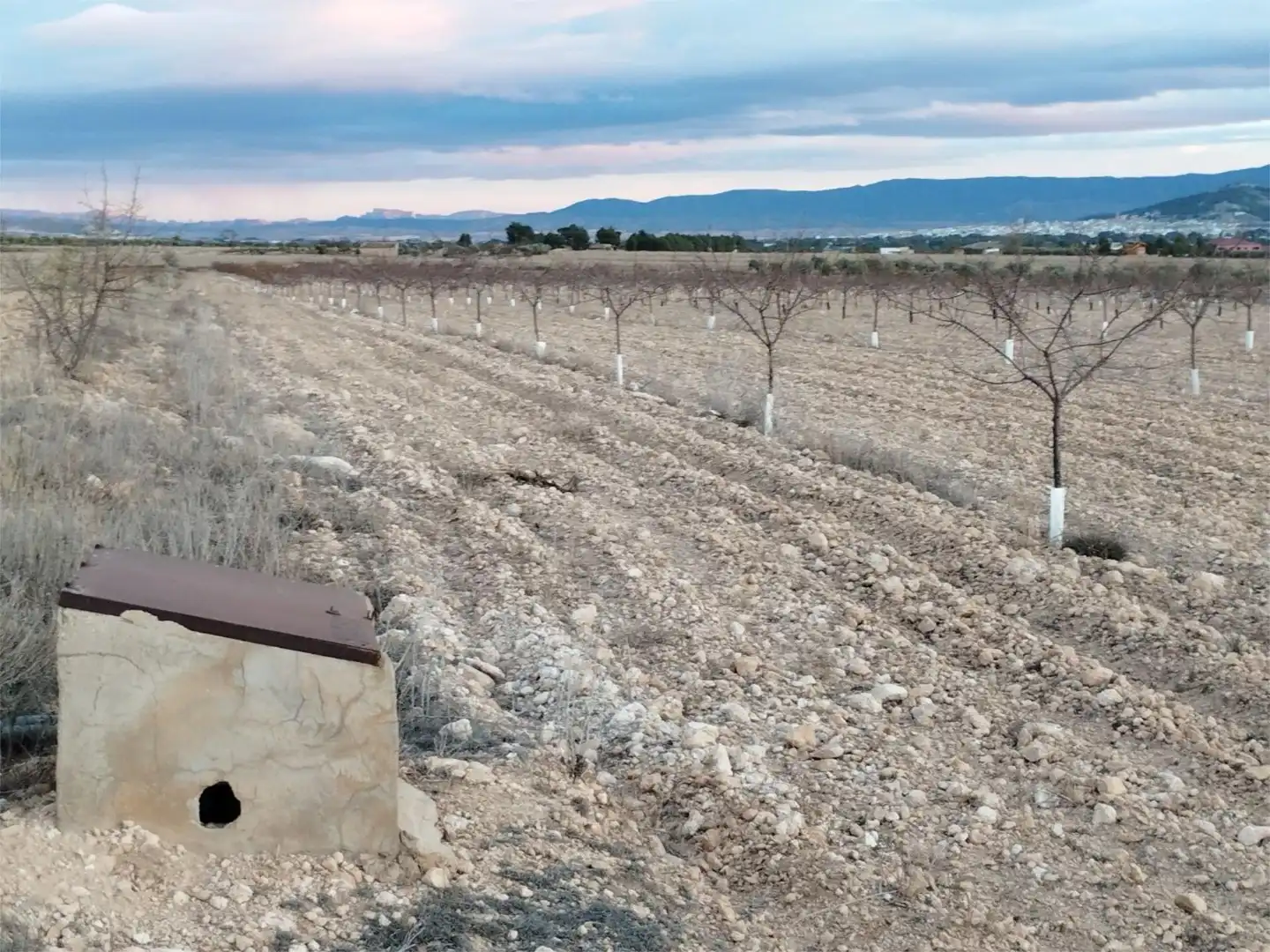 Terreno en venta en Carretera Yecla, 5, Montealegre del Castillo Terreno en venta en Montealegre del Castillo