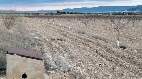 Terreny en venda a Carretera Yecla, 5, Montealegre del Castillo, Albacete - imatge 5 Foto 5 de Terreny en venda a Carretera Yecla, 5, Montealegre del Castillo, Albacete
