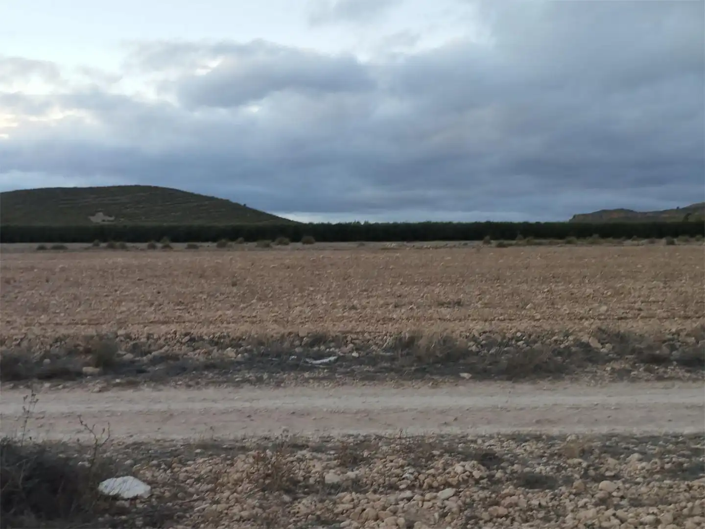 Terreno en venta en Carretera Yecla, 5, Montealegre del Castillo Terreno en venta en Montealegre del Castillo