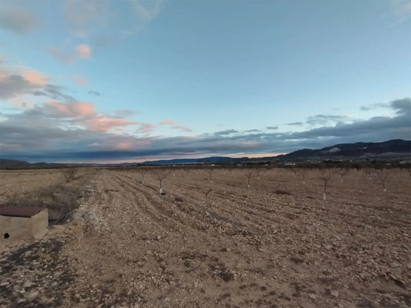 Terreno en venta en Carretera Yecla, 5, Montealegre del Castillo Terreno en venta en Montealegre del Castillo