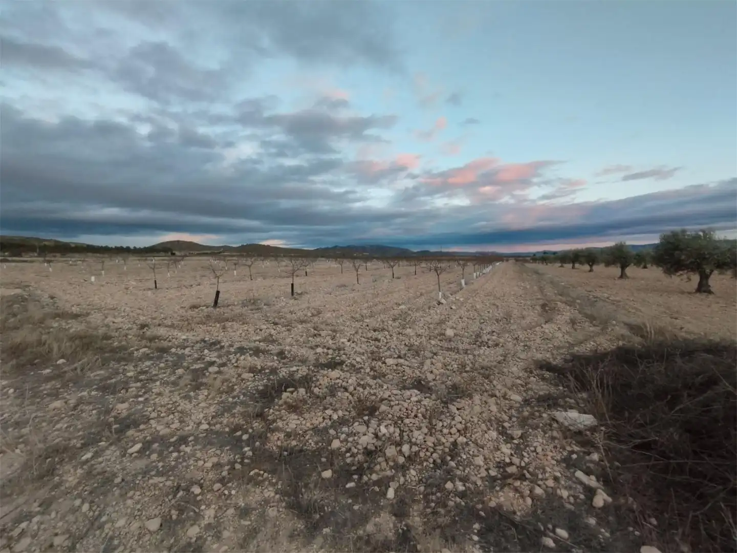 Terreno en venta en Carretera Yecla, 5, Montealegre del Castillo Terreno en venta en Montealegre del Castillo