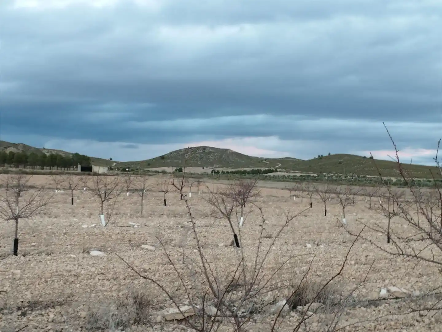 Terreno en venta en Carretera Yecla, 5, Montealegre del Castillo Terreno en venta en Montealegre del Castillo