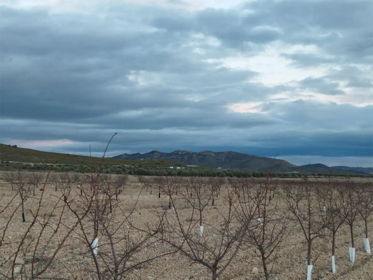 Terreno en venta en Carretera Yecla, 5, Montealegre del Castillo Terreno en venta en Montealegre del Castillo