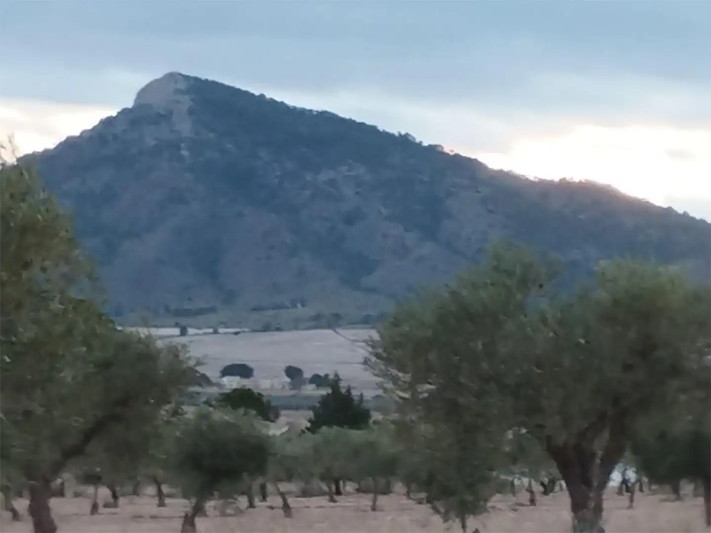 Terreno en venta en Carretera Yecla, 5, Montealegre del Castillo Terreno en venta en Montealegre del Castillo