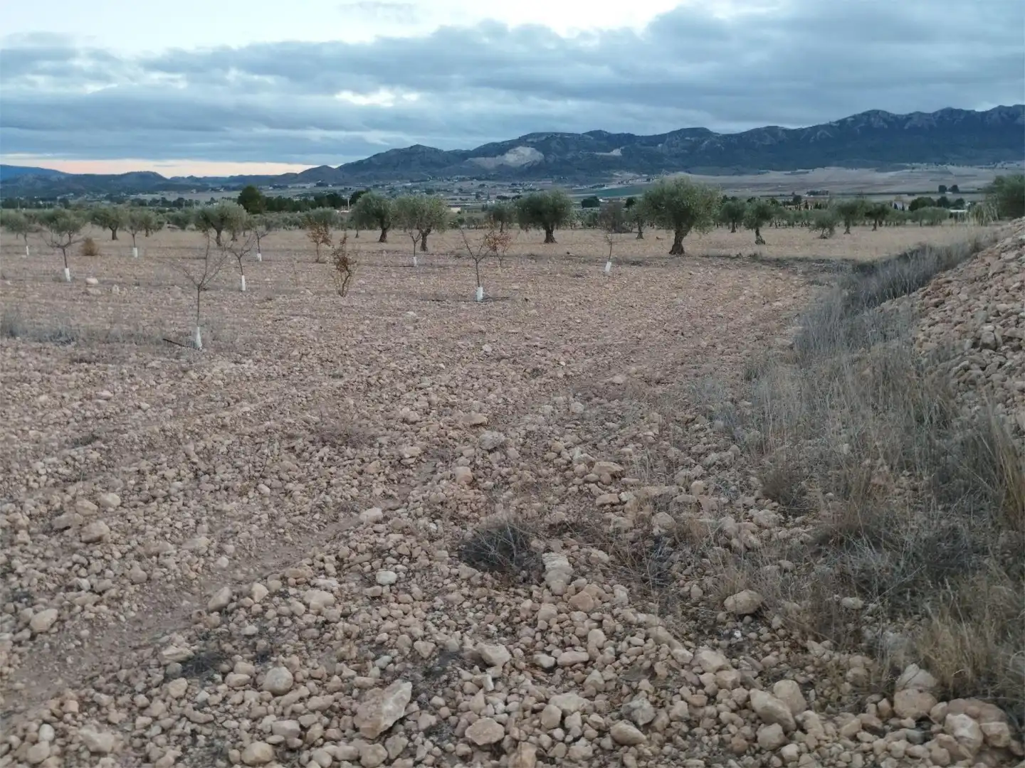 Terreno en venta en Carretera Yecla, 5, Montealegre del Castillo Terreno en venta en Montealegre del Castillo