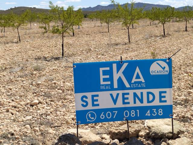 Terreno en Venta en Carretera Yecla, 5 en Montealegre del Castillo