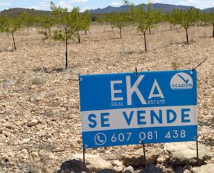 Land for sale in Montealegre del Castillo
