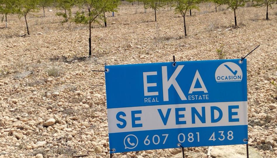 Terreny en venda a Carretera Yecla, 5, Montealegre del Castillo, Albacete - imatge 1 Foto 1 de Terreny en venda a Carretera Yecla, 5, Montealegre del Castillo, Albacete