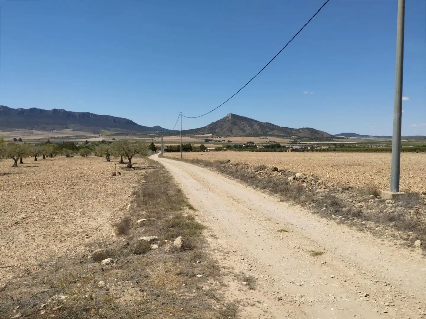 Terreno en venta en Carretera Yecla, 5, Montealegre del Castillo Terreno en venta en Montealegre del Castillo