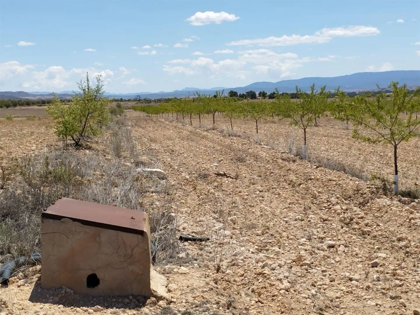 Terreno en venta en Carretera Yecla, 5, Montealegre del Castillo Terreno en venta en Montealegre del Castillo