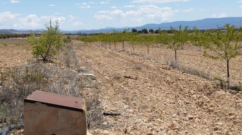 Terreny en venda a Carretera Yecla, 5, Montealegre del Castillo, Albacete - imatge 2 Foto 2 de Terreny en venda a Carretera Yecla, 5, Montealegre del Castillo, Albacete