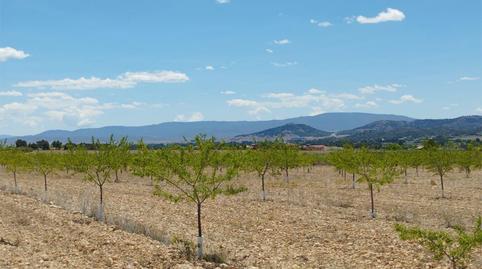 Terreny en venda a Carretera Yecla, 5, Montealegre del Castillo, Albacete - imatge 3 Foto 3 de Terreny en venda a Carretera Yecla, 5, Montealegre del Castillo, Albacete