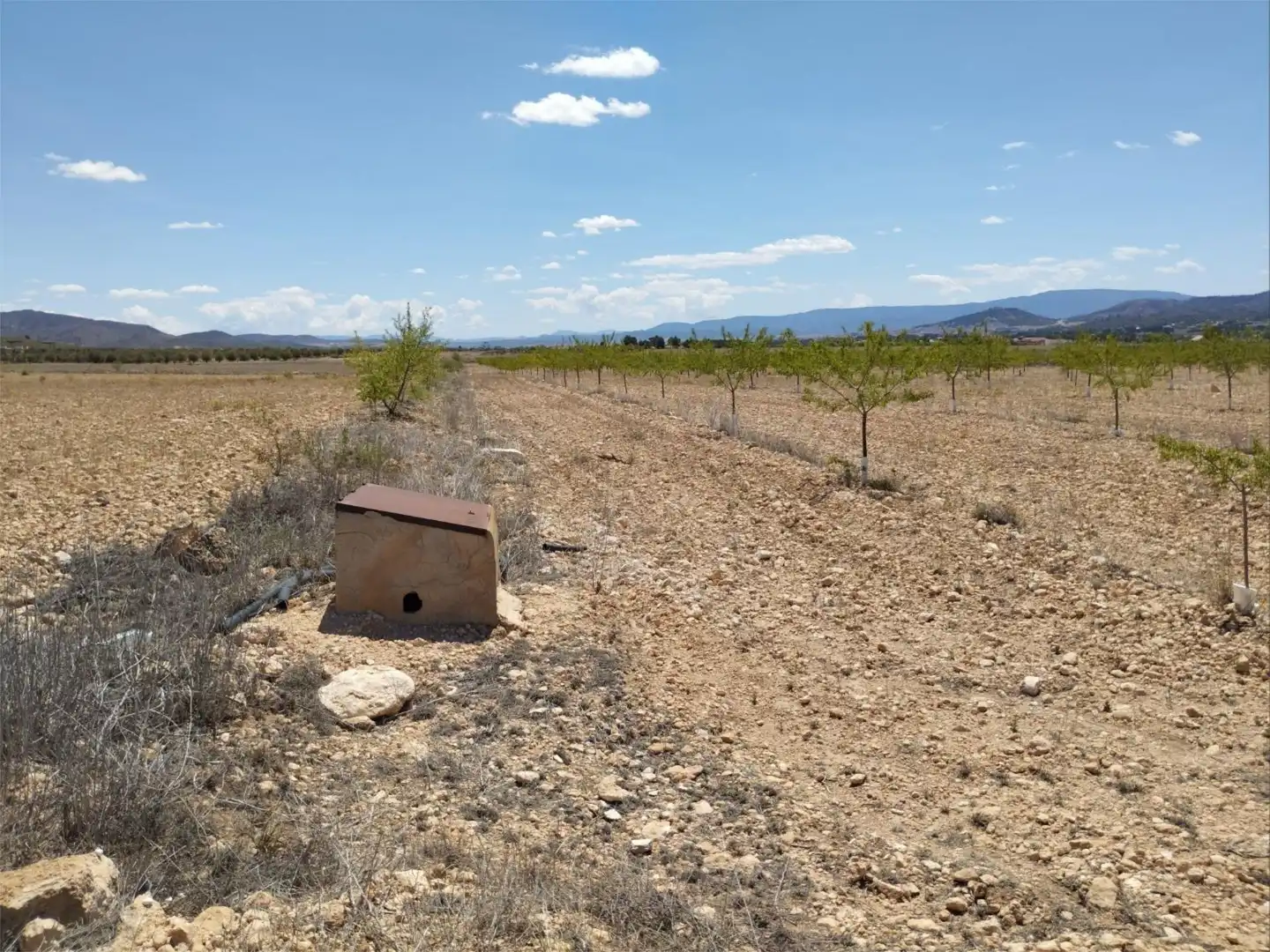 Terreno en venta en Carretera Yecla, 5, Montealegre del Castillo Terreno en venta en Montealegre del Castillo