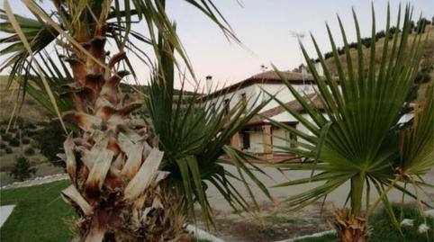 Finca rústica en venda a Calle Los Villalones, 5, Partidas Norte, Málaga - imatge 2 Foto 2 de Finca rústica en venda a Calle Los Villalones, 5, Partidas Norte, Málaga