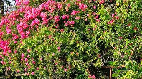 House or chalet to rent in Avenida de Prahua, 26, Pravia, Asturias - image 5 Photo 5 of House or chalet to rent in Avenida de Prahua, 26, Pravia, Asturias