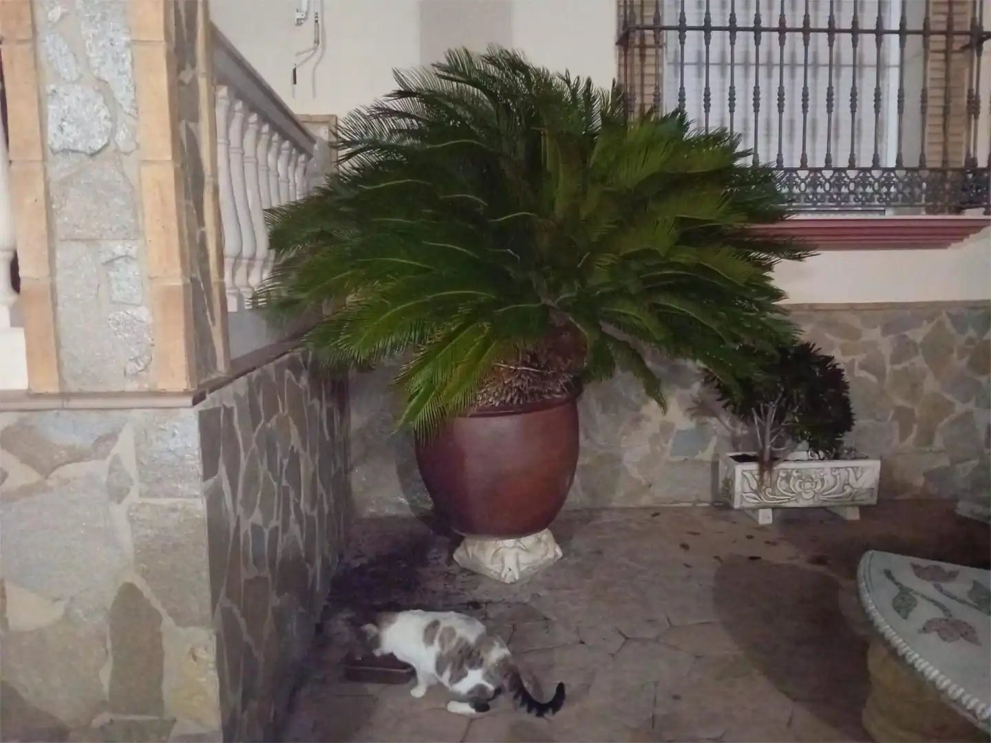 Piso en venta en Calle San Francisco, 1, Castro del Río Piso en venta en Castro del Río con Aire acondicionado, Calefacción y Jardín privado