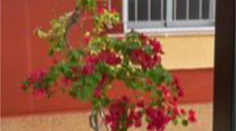 House or chalet to rent in Calle del Arco, 7, Núcleo urbano, Cádiz - image 5 Photo 5 of House or chalet to rent in Calle del Arco, 7, Núcleo urbano, Cádiz