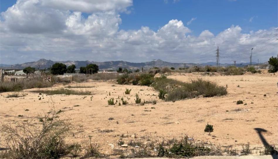 Terreny industrial en venda a Camino del Cementerio, 141, Redován, Alicante - imatge 1 Foto 1 de Terreny industrial en venda a Camino del Cementerio, 141, Redován, Alicante