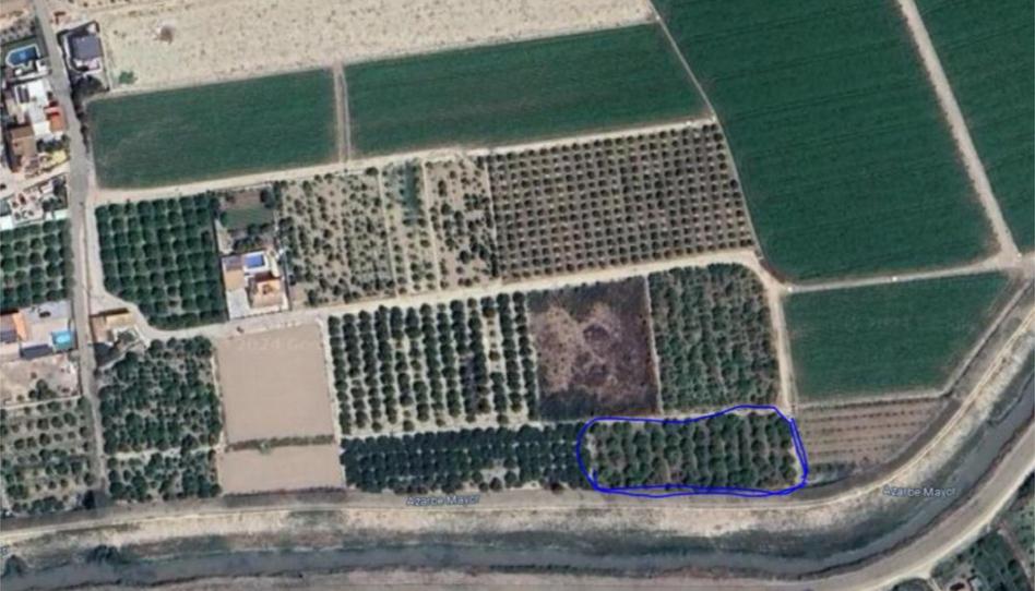 No Urbanitzable en venda a Vereda Don Faustino, 24, Desamparados - Hurchillo - Torremendo, Alicante - imatge 1 Foto 1 de No Urbanitzable en venda a Vereda Don Faustino, 24, Desamparados - Hurchillo - Torremendo, Alicante