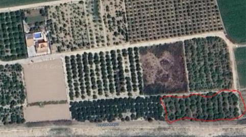 No Urbanitzable en venda a Vereda Don Faustino, 24, Desamparados - Hurchillo - Torremendo, Alicante - imatge 3 Foto 3 de No Urbanitzable en venda a Vereda Don Faustino, 24, Desamparados - Hurchillo - Torremendo, Alicante