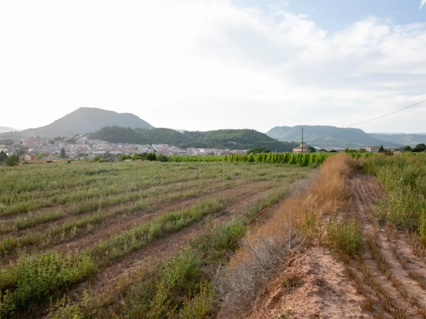 Finca rústica en venda a C-37z, Km. 9, Barri Mion - Puigberenguer Finca rústica en venda en Manresa amb Terrassa, Piscina i Balcó