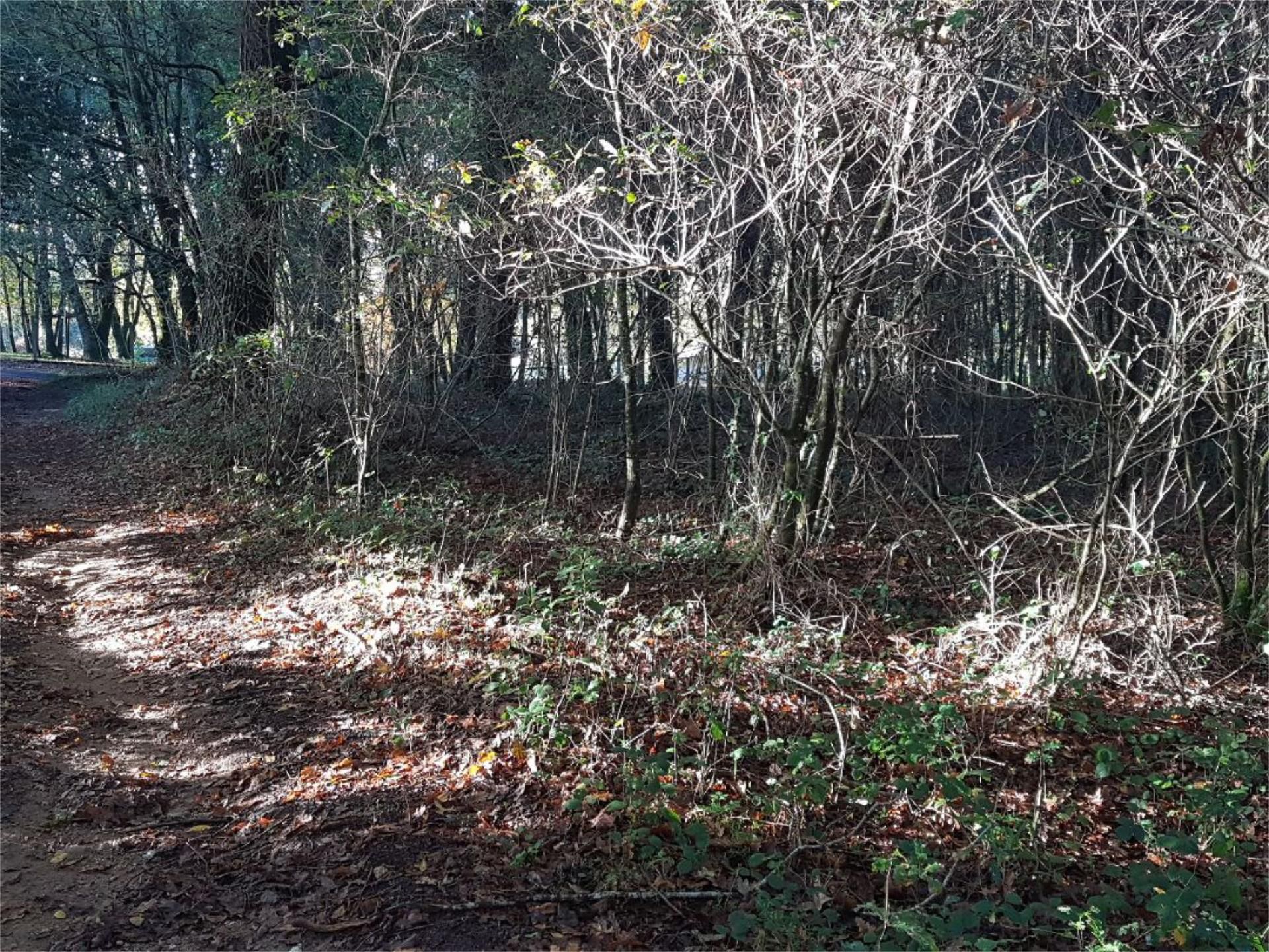 Non-constructible Land for sale in Teo