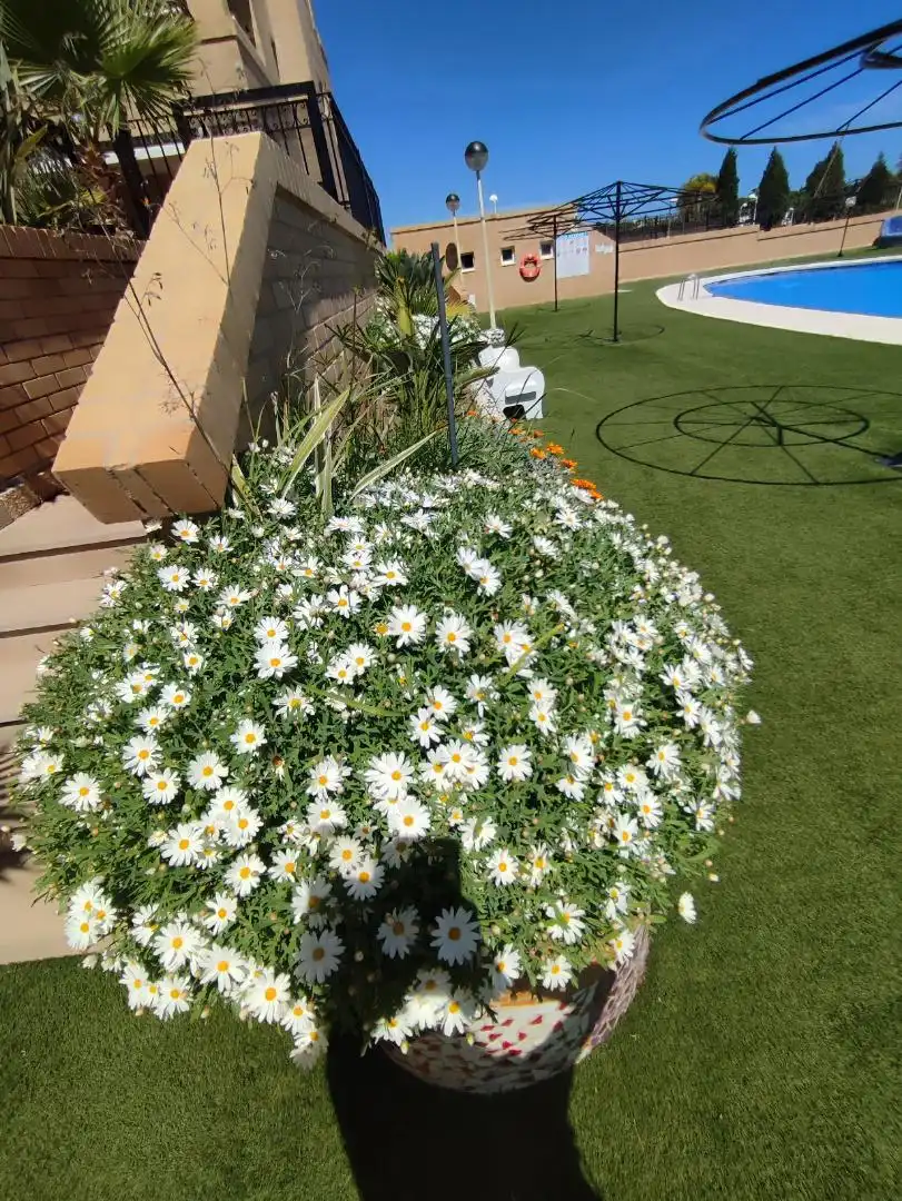Apartamento de alquiler en Avenida Central, 46, Costa Azahar Apartamento de alquiler en Avenida Central, 46, Costa Azahar