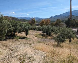 Finca rústica en venda en  Jaén Capital