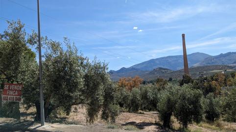 Flat for sale in Calle de Los Herreros, 40, Belén - San Roque, Jaén - image 4 Photo 4 of Flat for sale in Calle de Los Herreros, 40, Belén - San Roque, Jaén