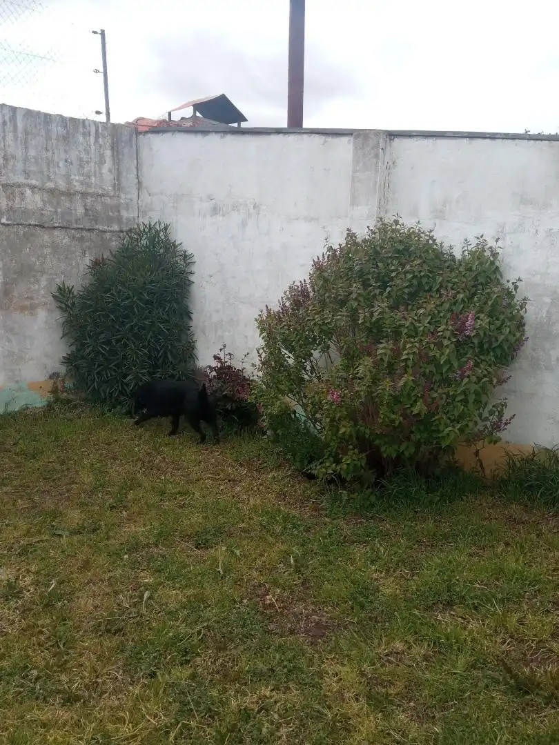 Garden of Ground floor for sale in Benavente  with Heating, Private garden and Storage room