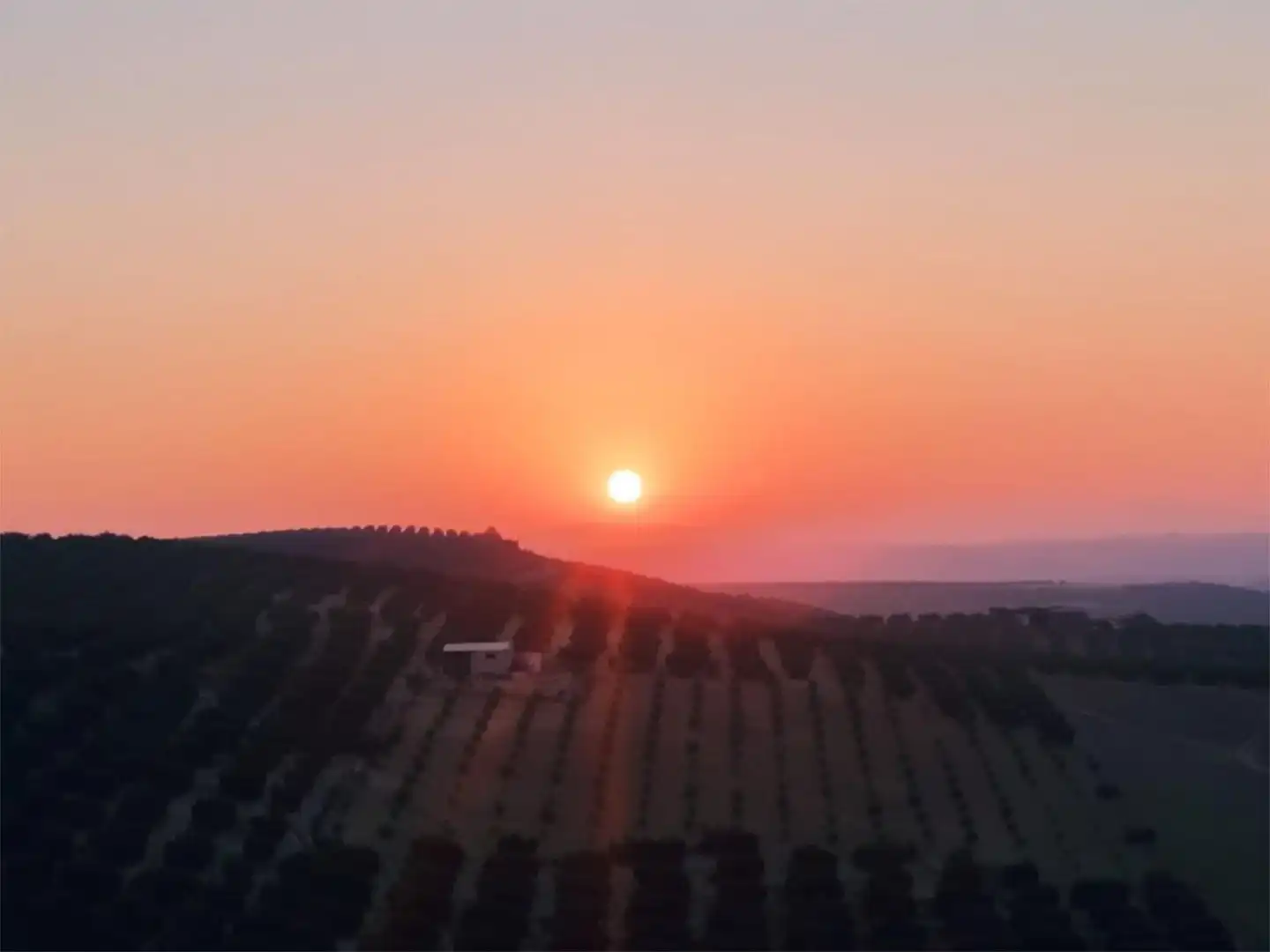 Vista exterior de Piso en venta en Montalbán de Córdoba con Balcón