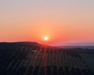 Vista exterior de Pis en venda en Montalbán de Córdoba amb Aire condicionat, Moblat i Balcó