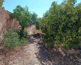 Casa o xalet en venda en Solana de los Barros