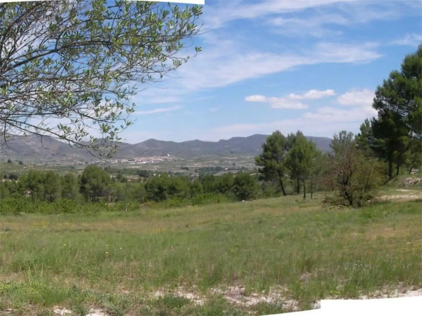 Non-constructible Land for sale in Planes