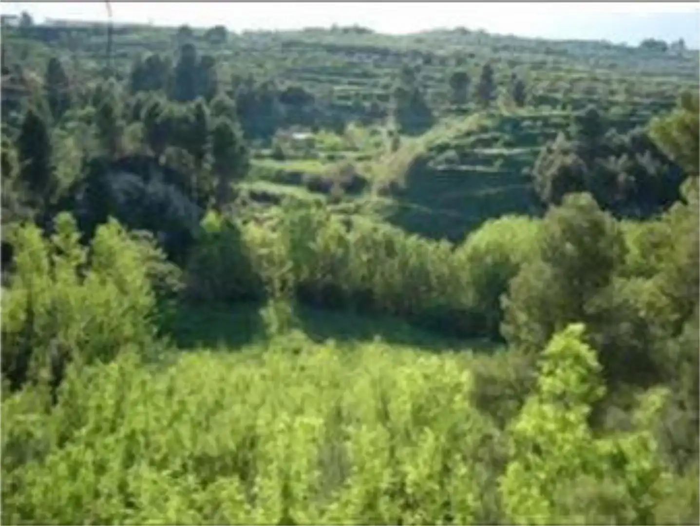 Non-constructible Land for sale in Planes