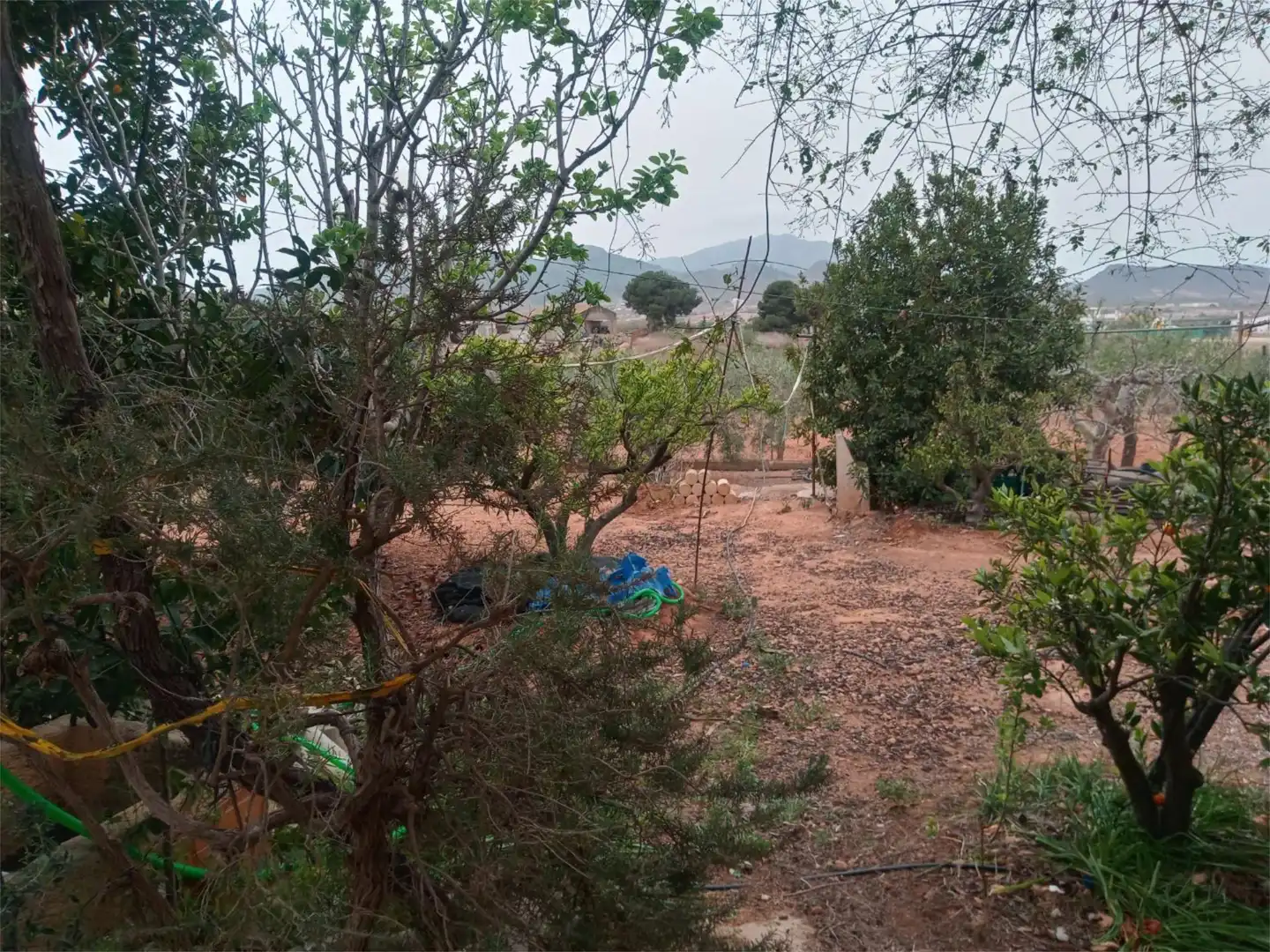 Piso en venta en Fuente Álamo de Murcia con Jardín privado, Terraza y Amueblado