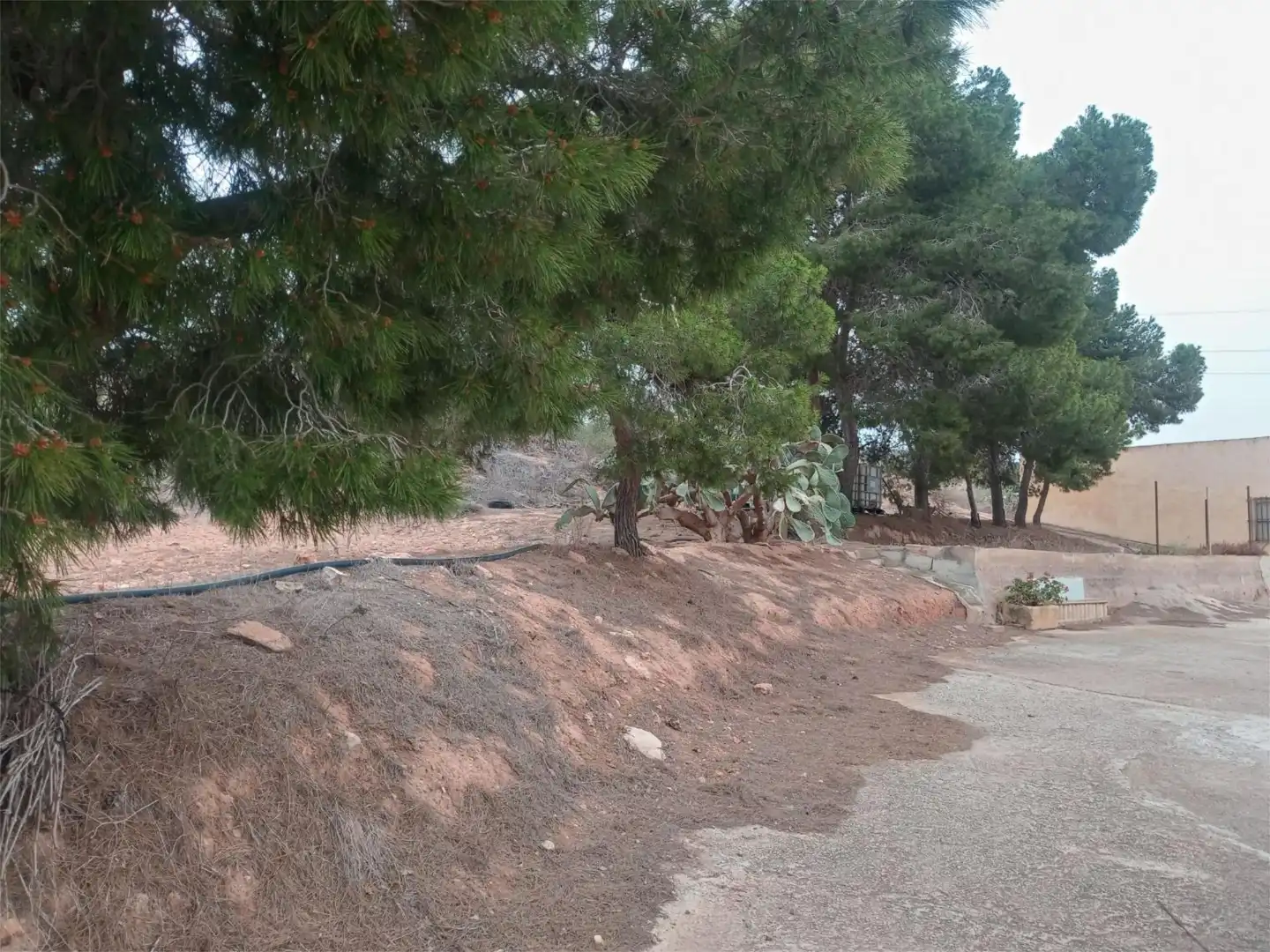 Piso en venta en Fuente Álamo de Murcia con Jardín privado, Terraza y Amueblado