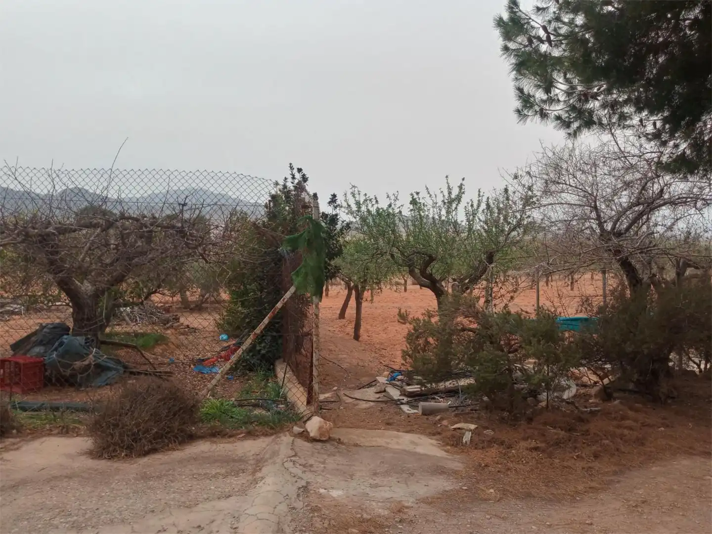 Piso en venta en Fuente Álamo de Murcia con Jardín privado, Terraza y Amueblado