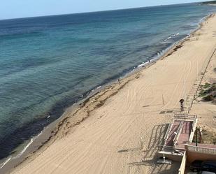 Vista exterior de Pis de lloguer en Elche / Elx amb Terrassa, Piscina i Moblat