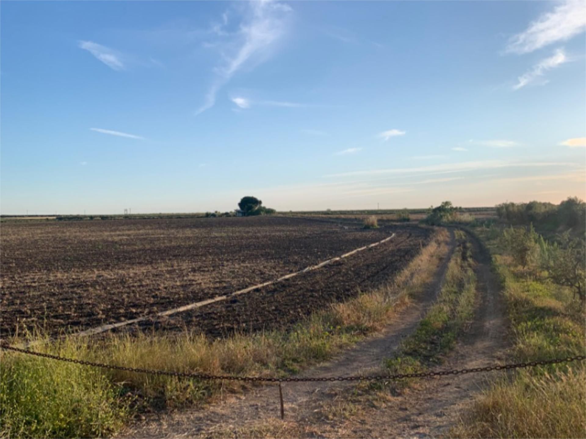 Land for sale in Montijo