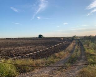 Land for sale in Montijo