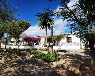 Vista exterior de Casa o xalet en venda en Motril amb Terrassa