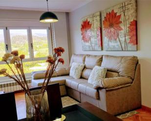 Living room of Flat for sale in Meira